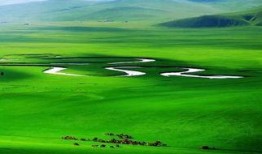 大草原在线观看